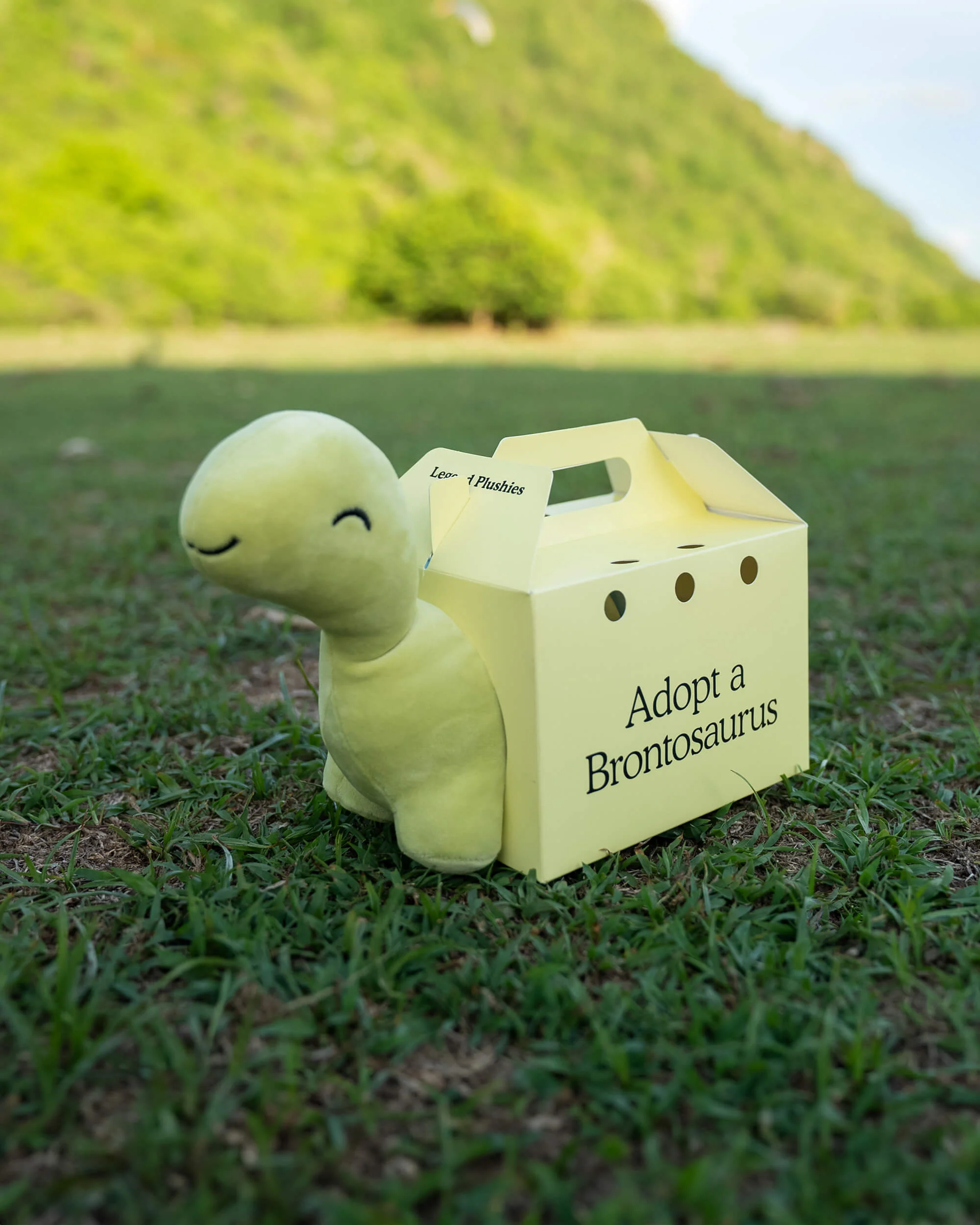 Brontosaurus Plushie - Image 5