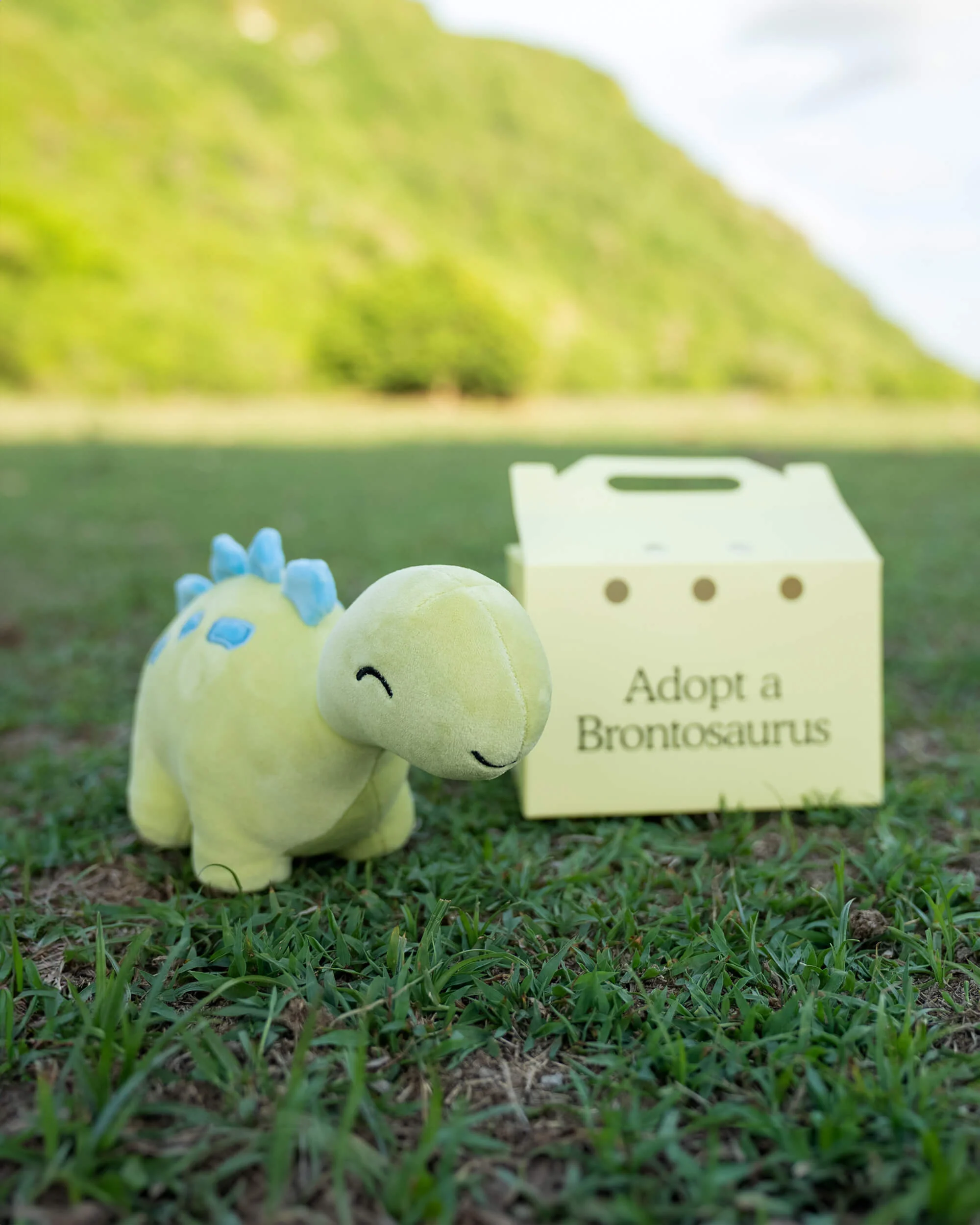 Brontosaurus Plushie - Image 6
