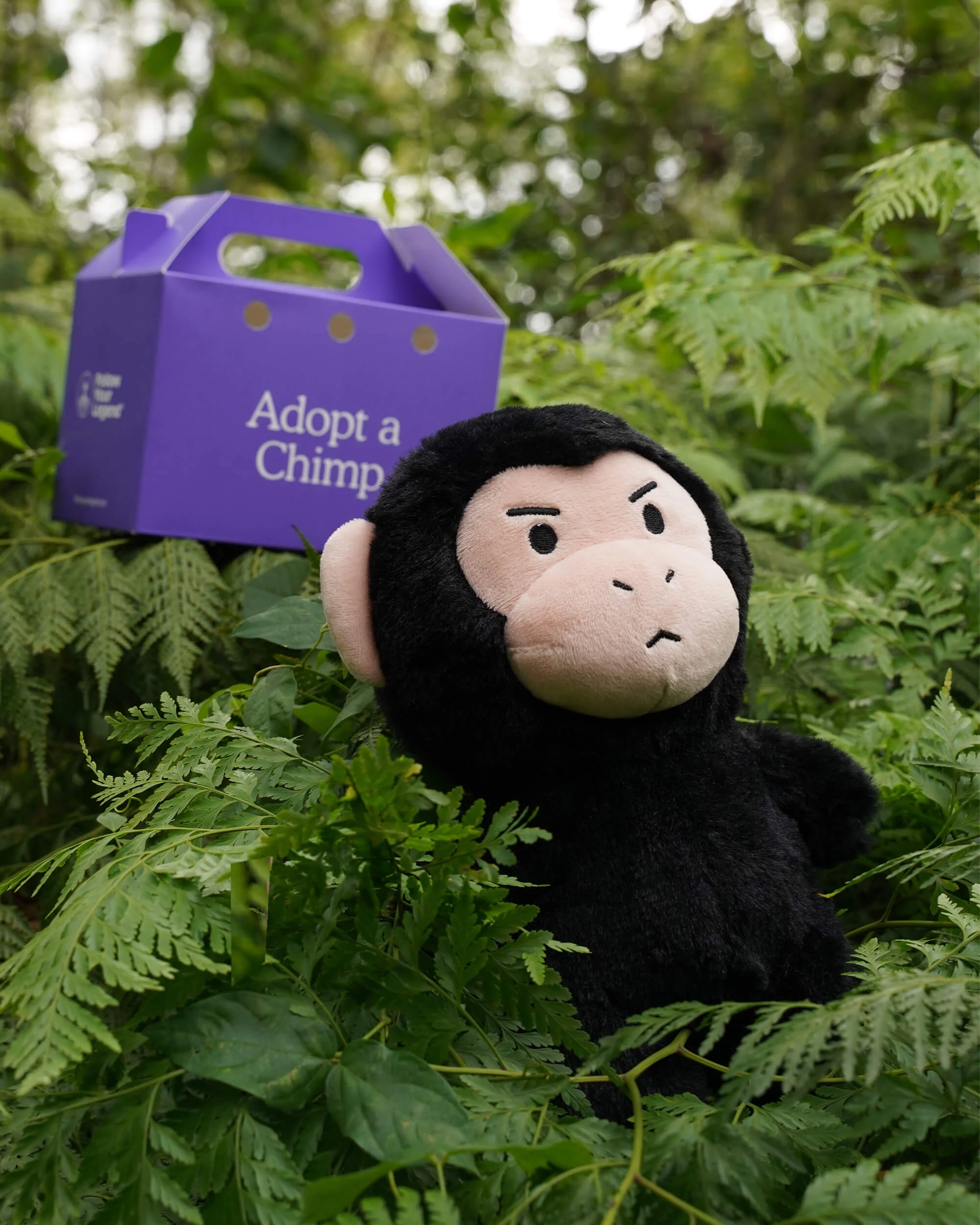 Chimp Plushie - Image 5