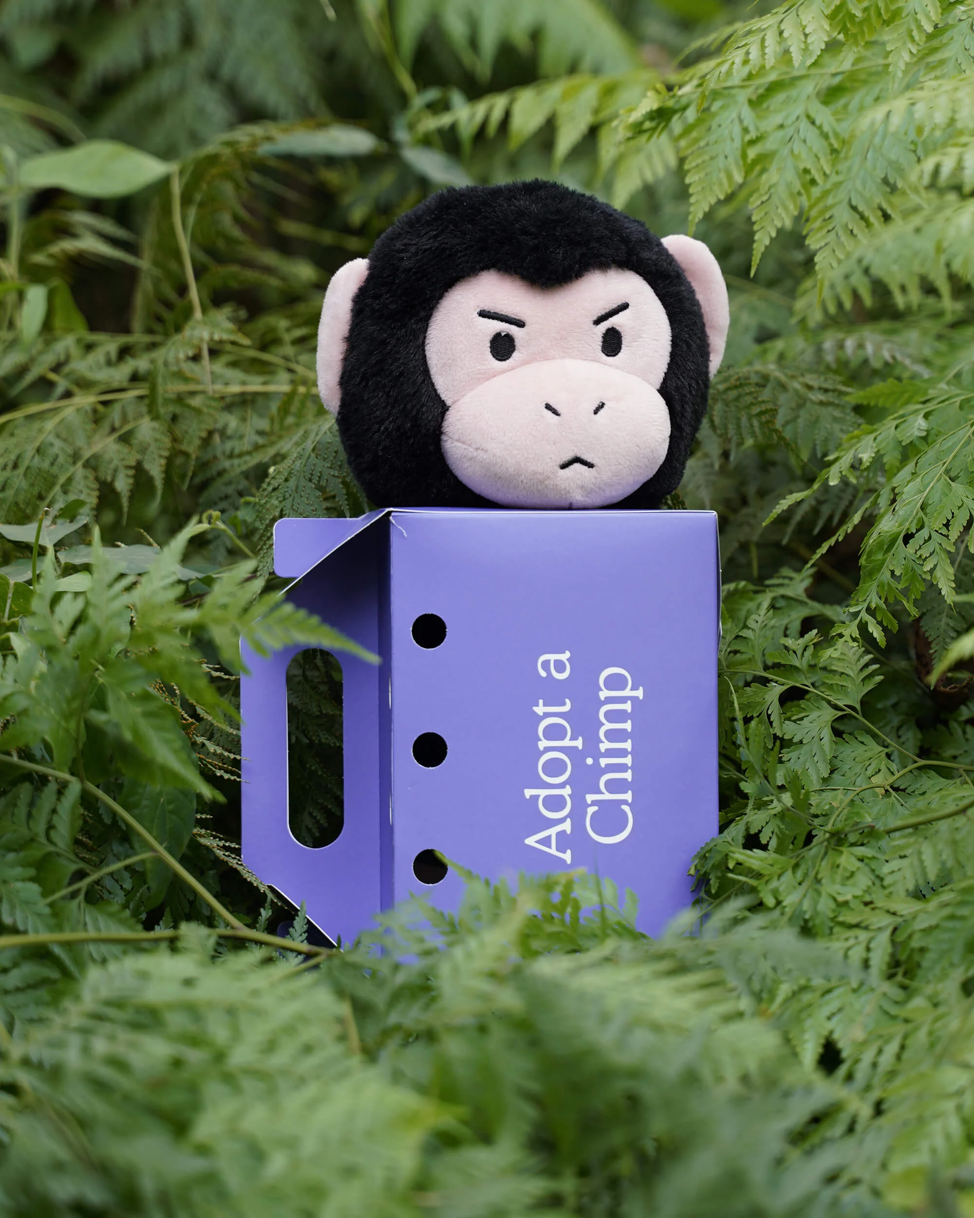 Chimp Plushie - Image 6