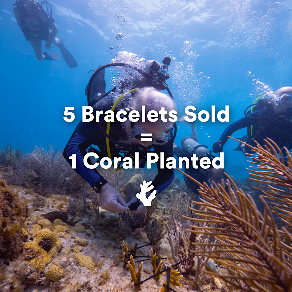 Coral Legend Bracelet - Image 6