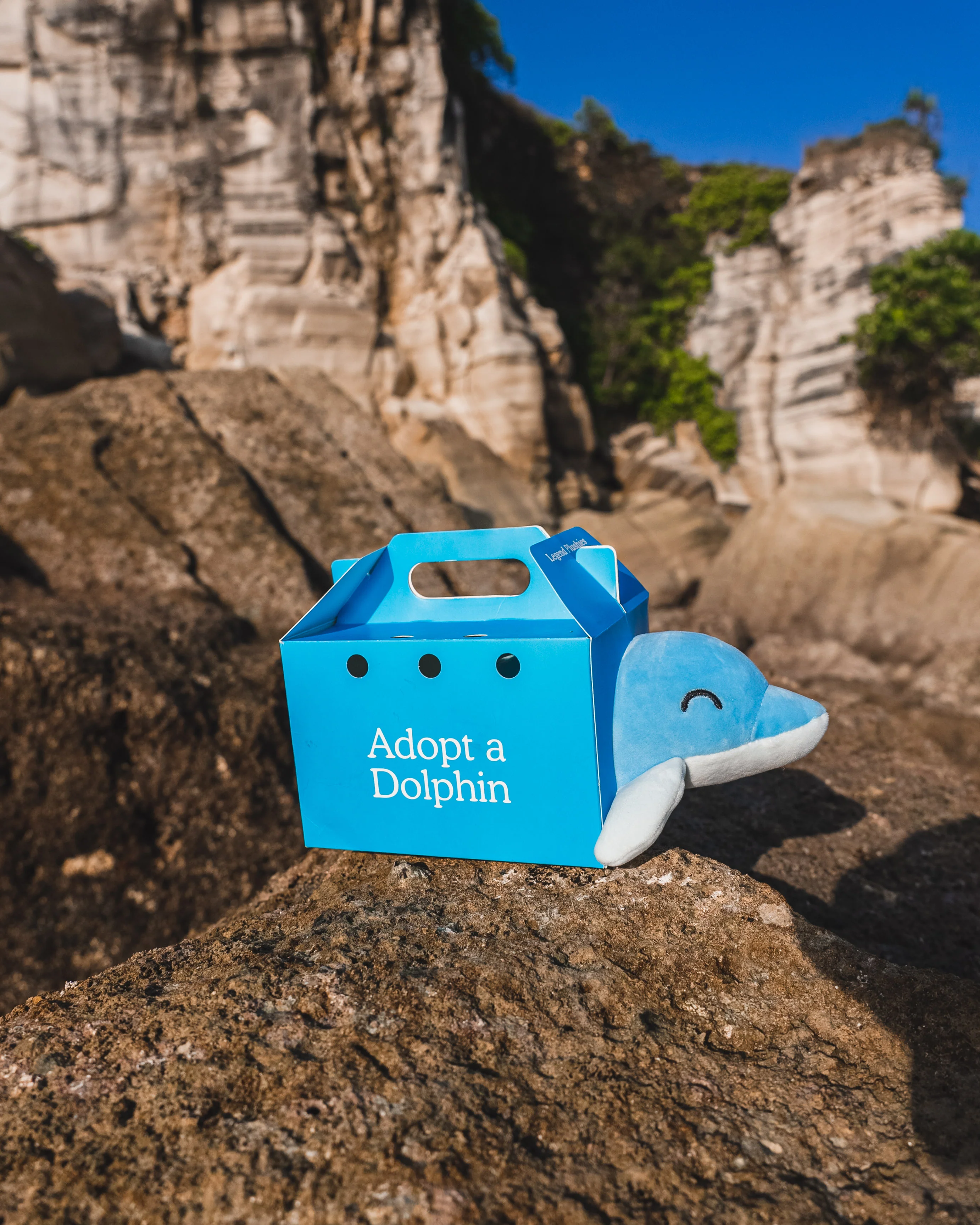 Dolphin Plushie - Image 3