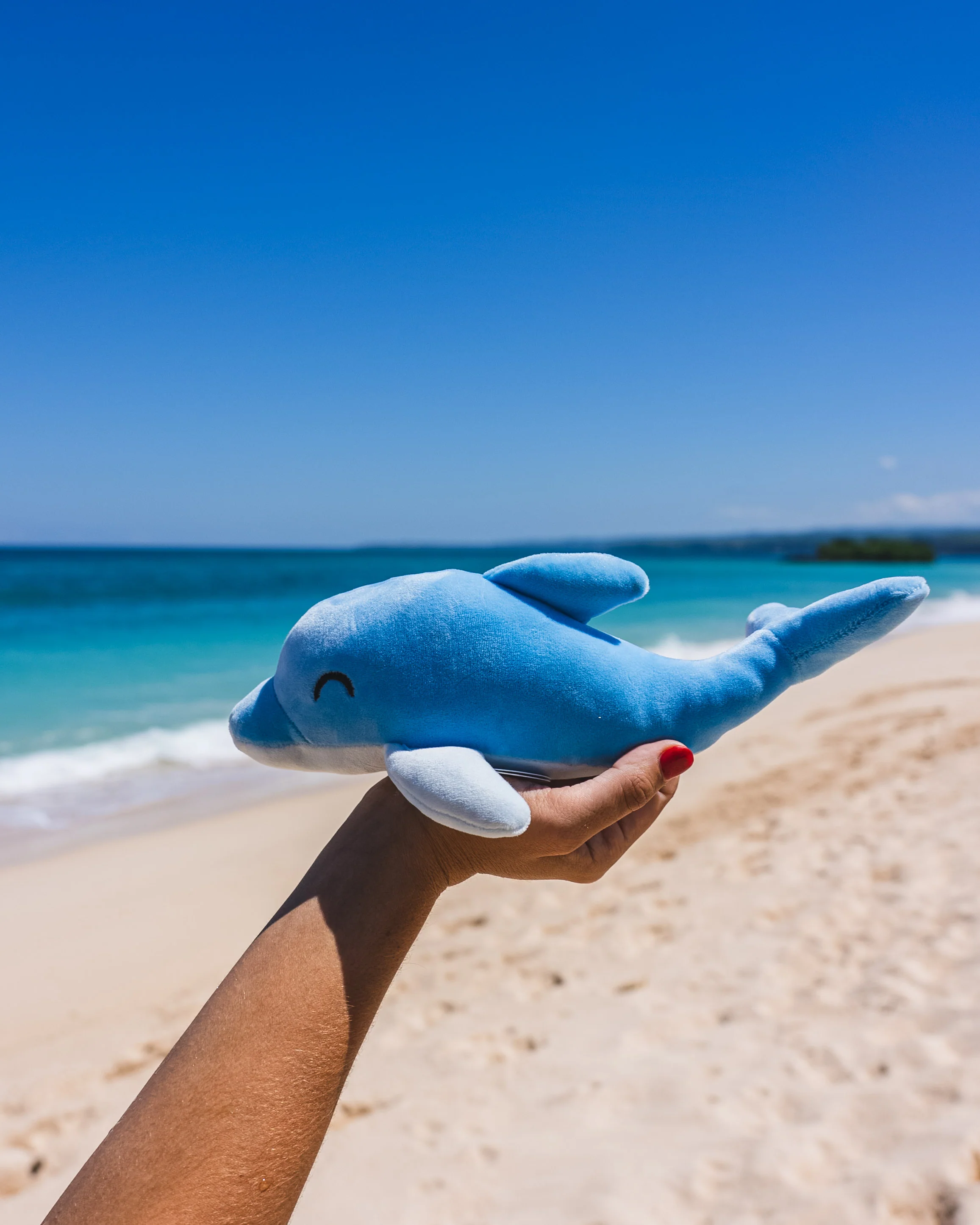 Dolphin Plushie - Image 4