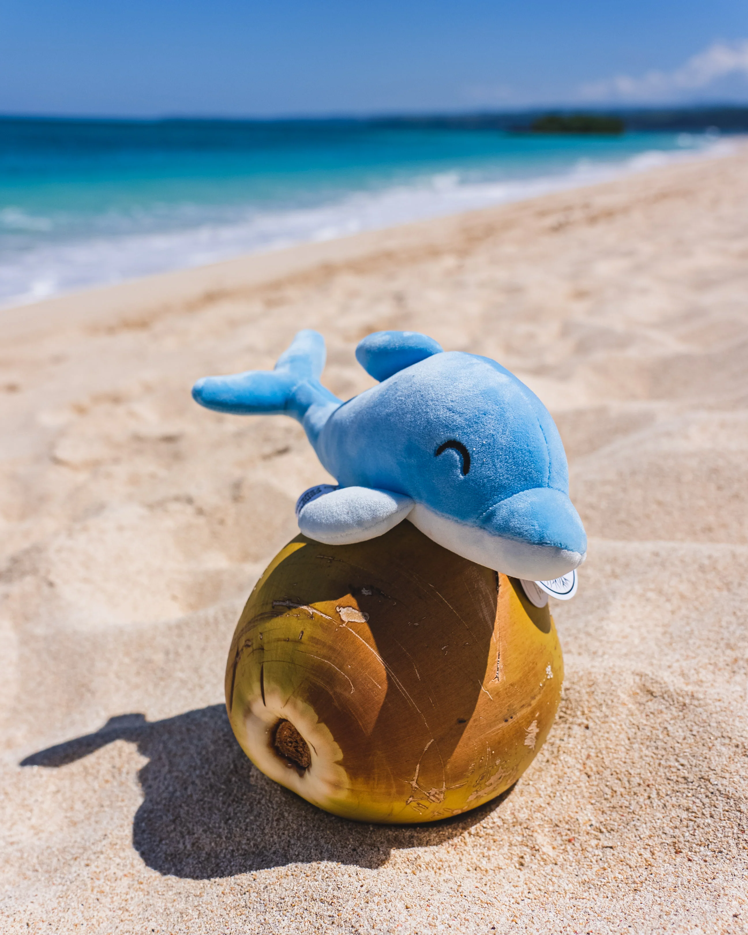 Dolphin Plushie - Image 5