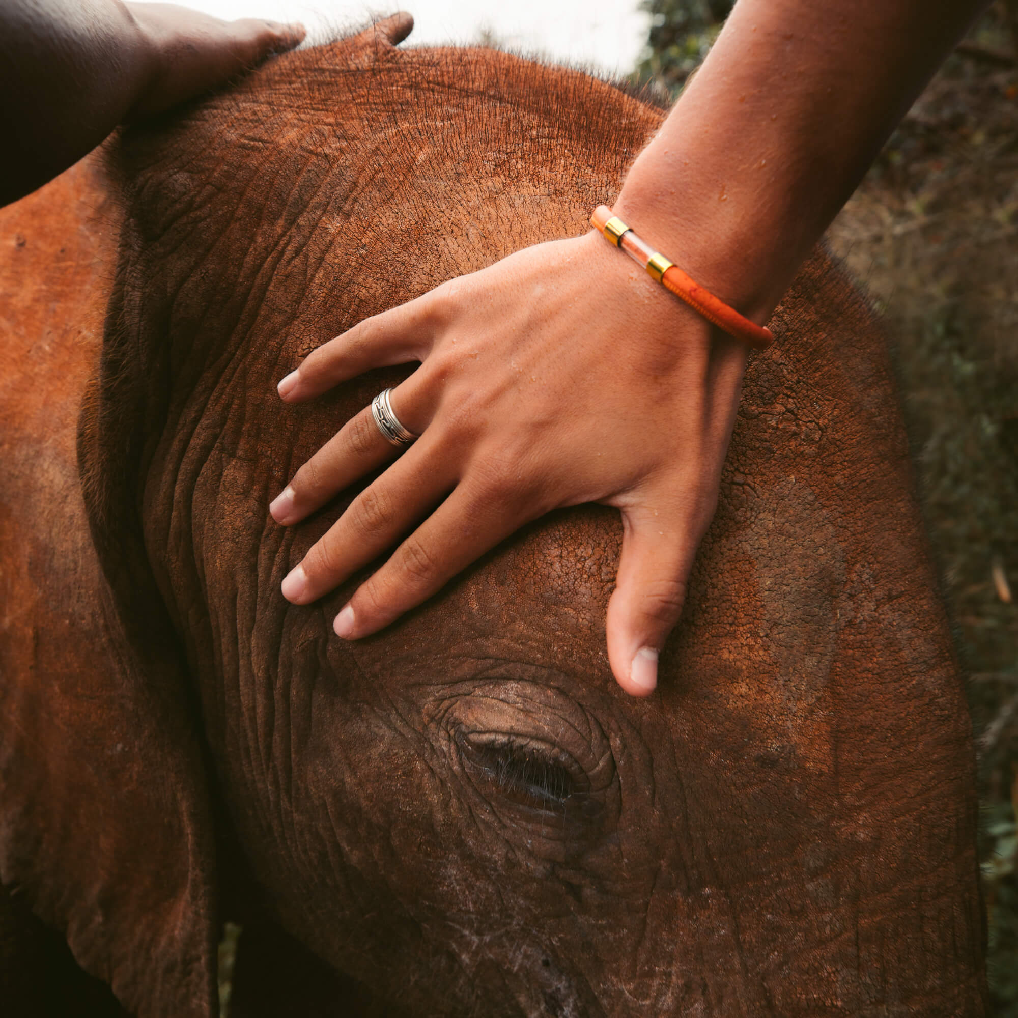 Elephant Legend Bracelet - Image 13