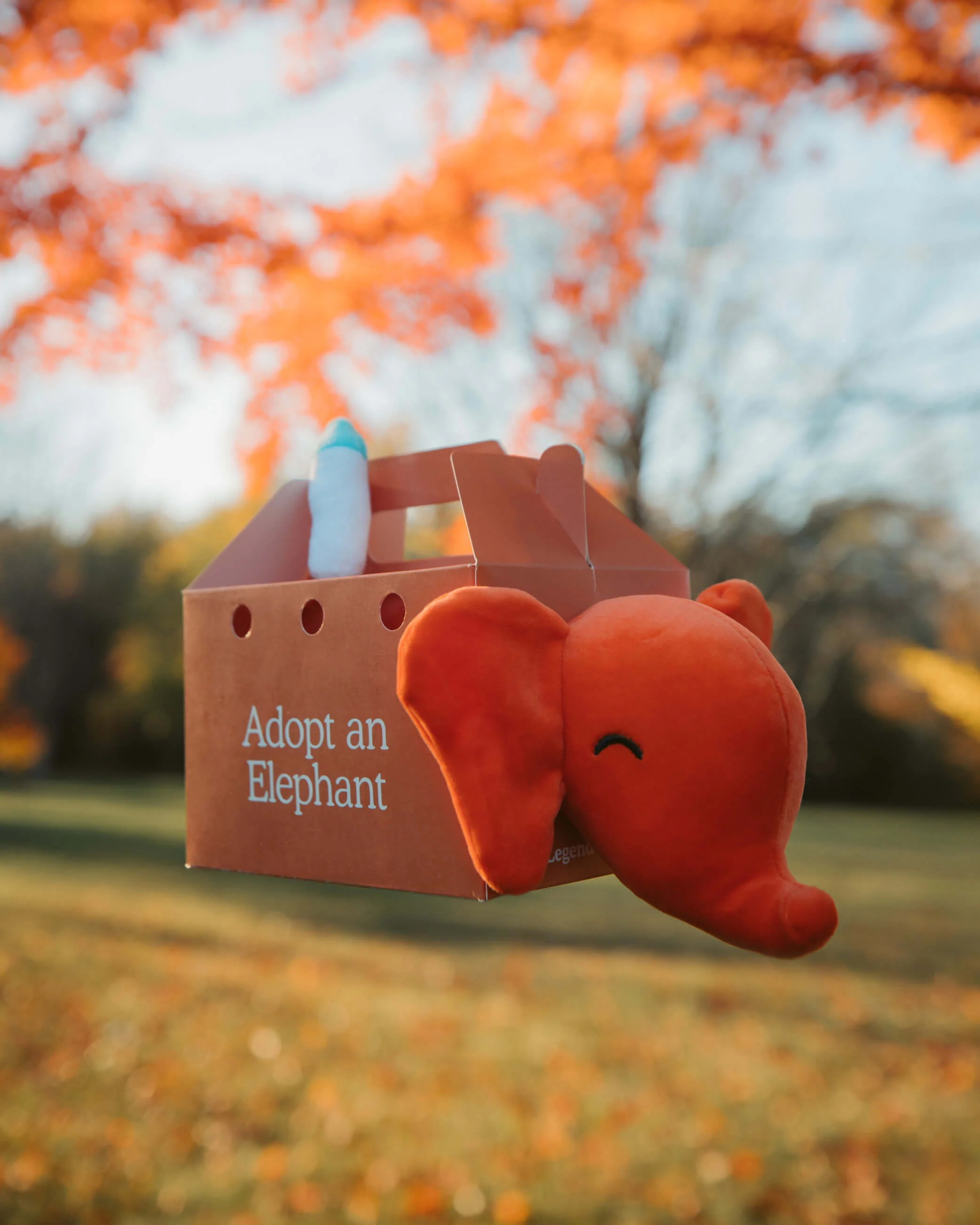 Elephant Plushie - Image 4