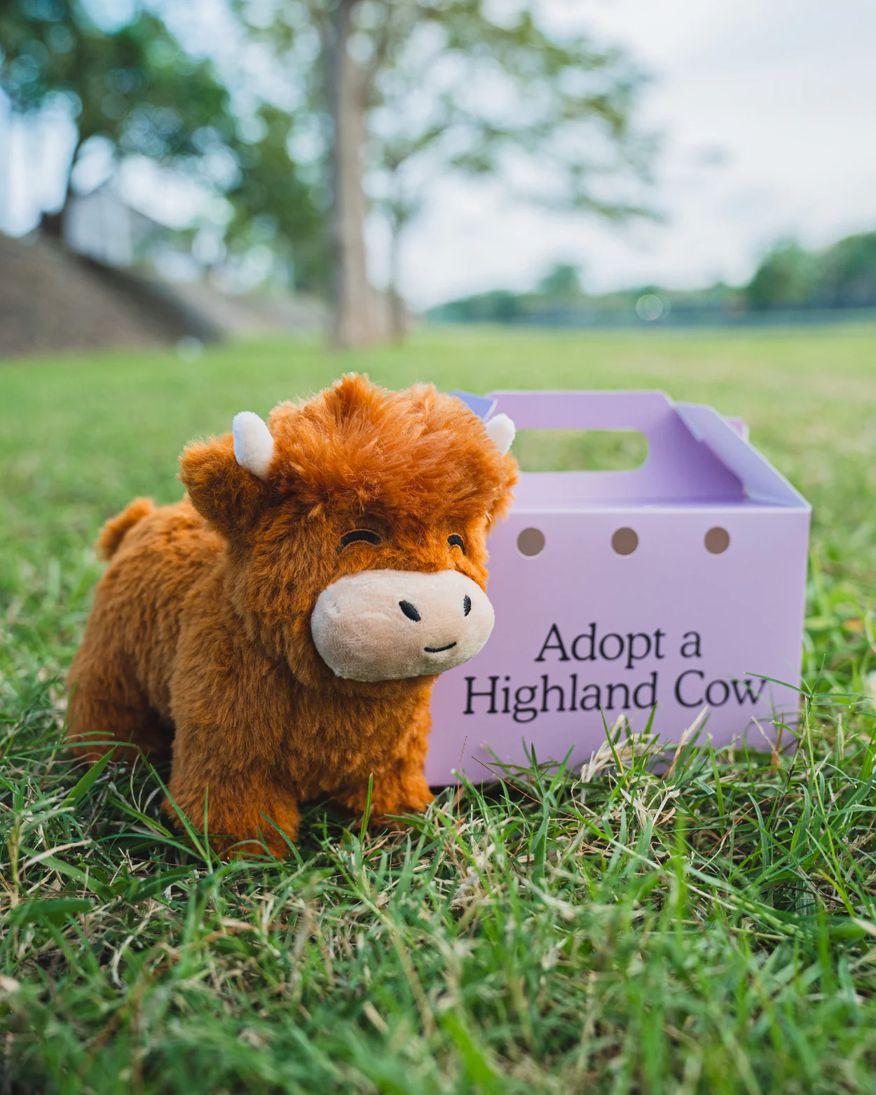 Highland Cow Plushie - Image 5