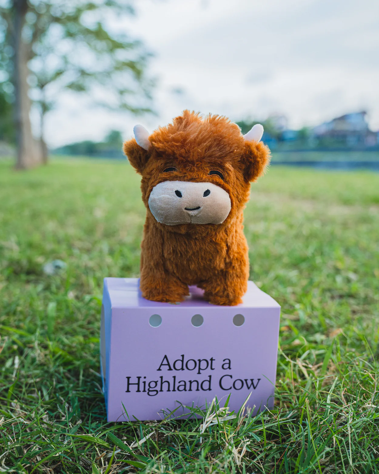 Highland Cow Plushie - Image 6