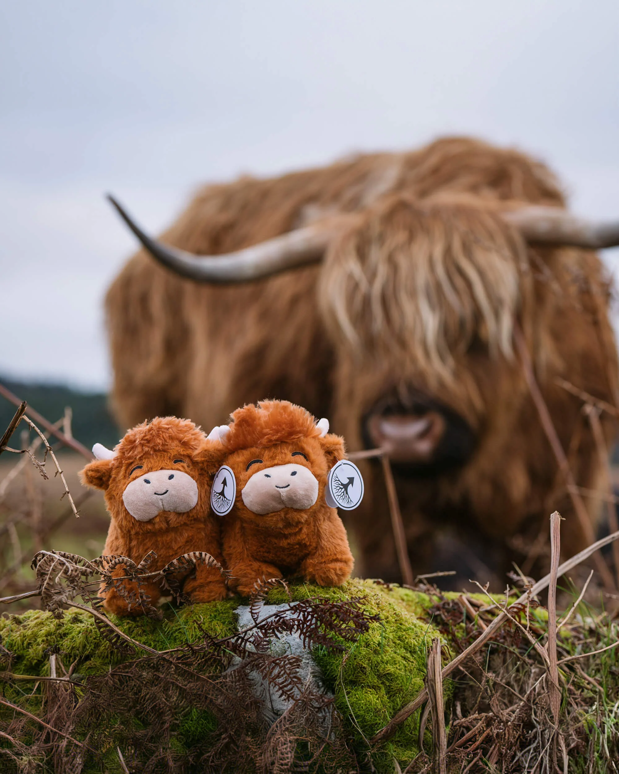 Highland Cow Plushie - Image 7