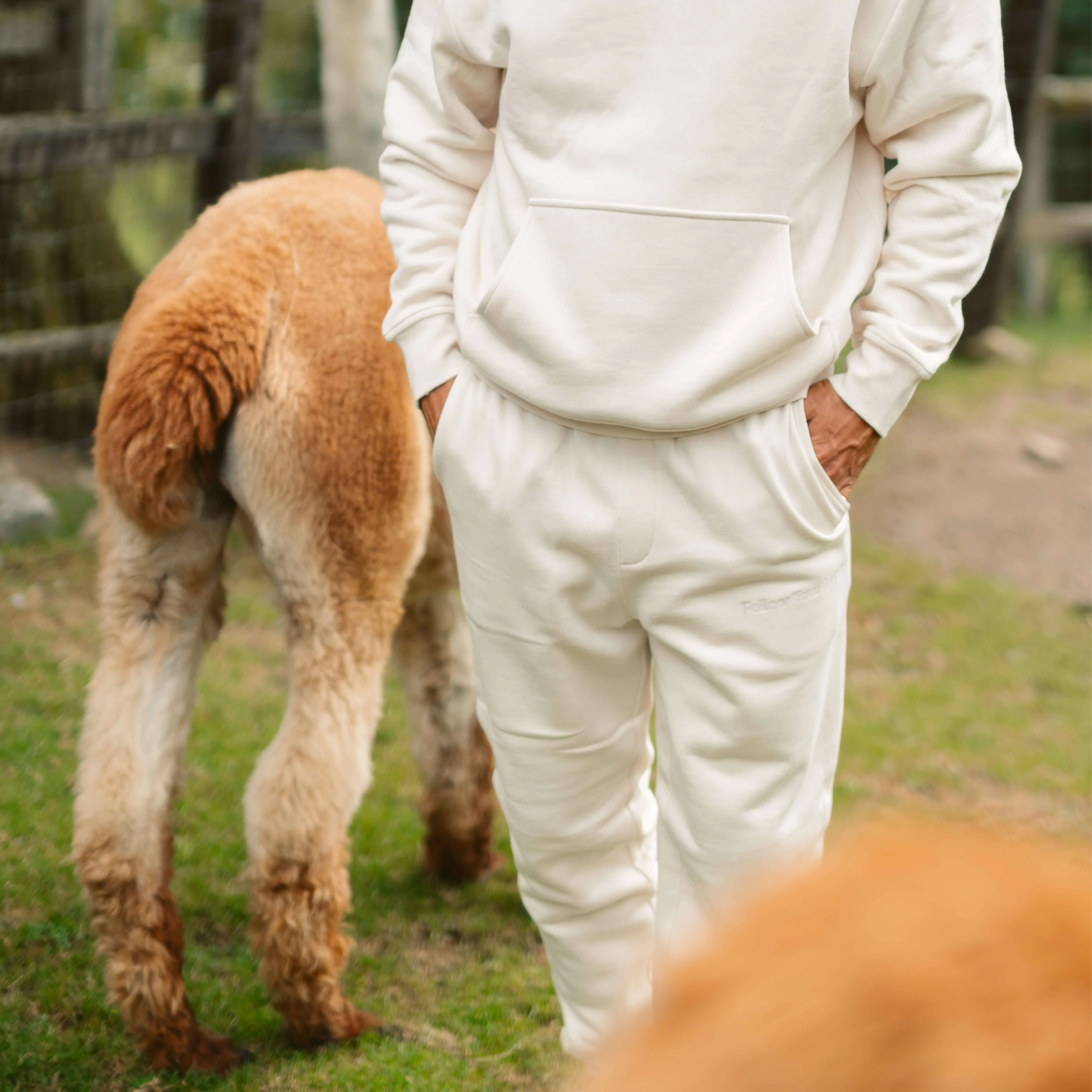 Men's AlpacaCloud® Joggers - Image 27