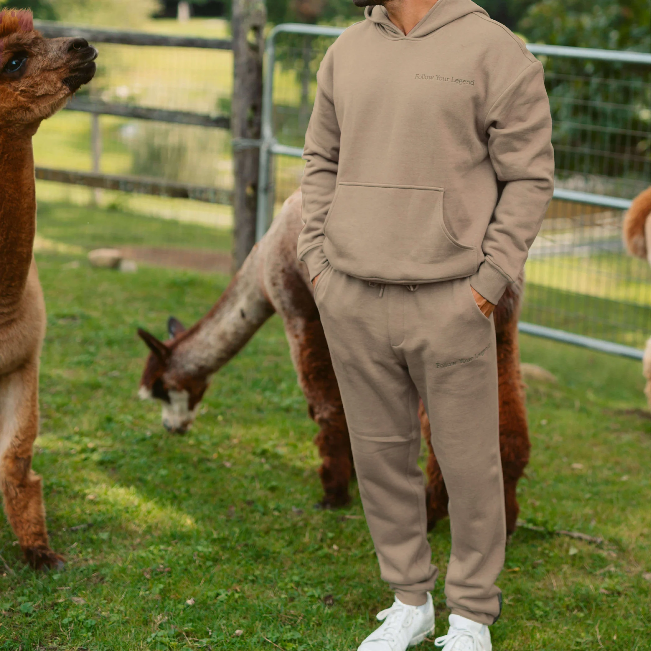 Men's AlpacaCloud® Joggers - Image 4