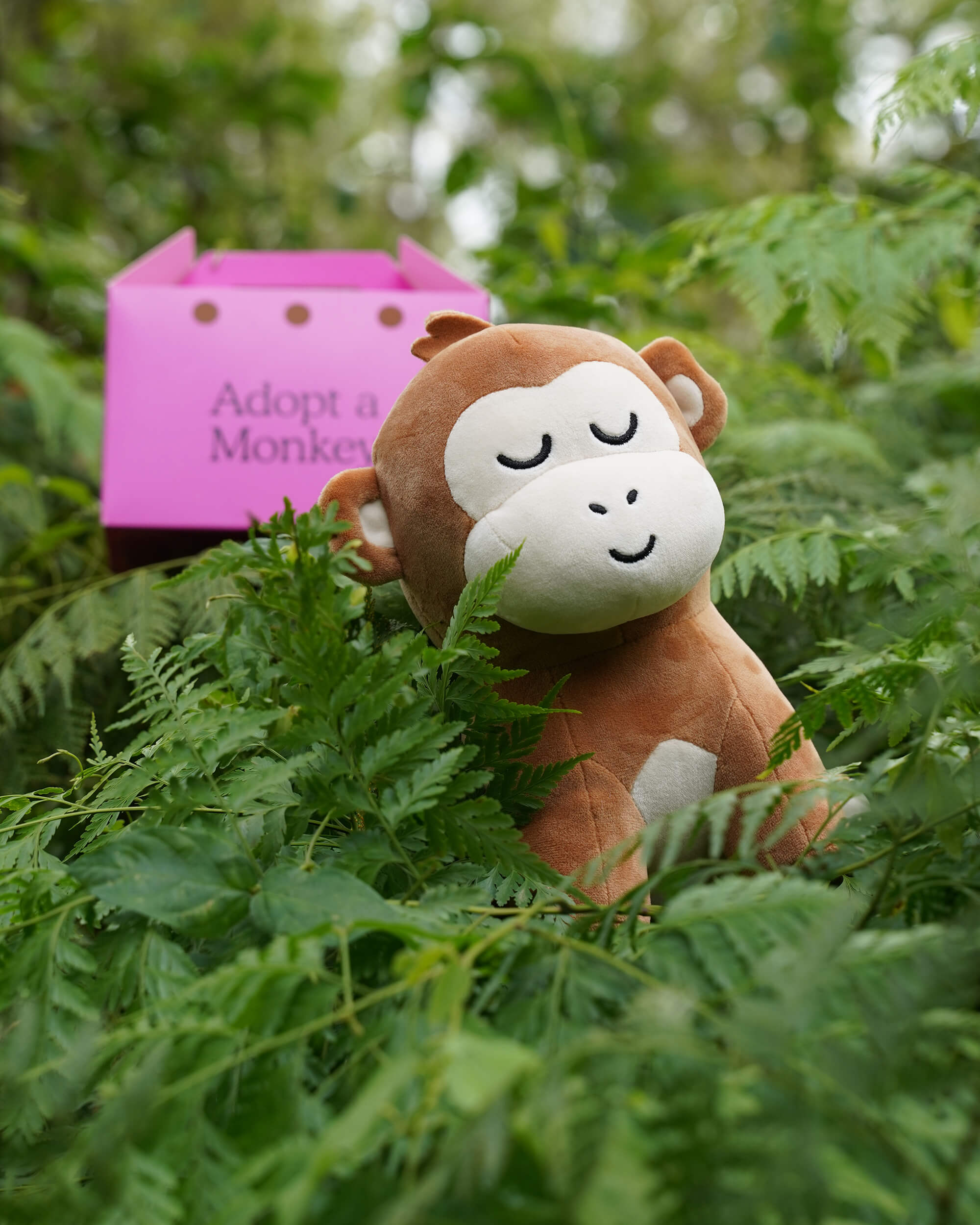 Monkey Plushie - Image 5