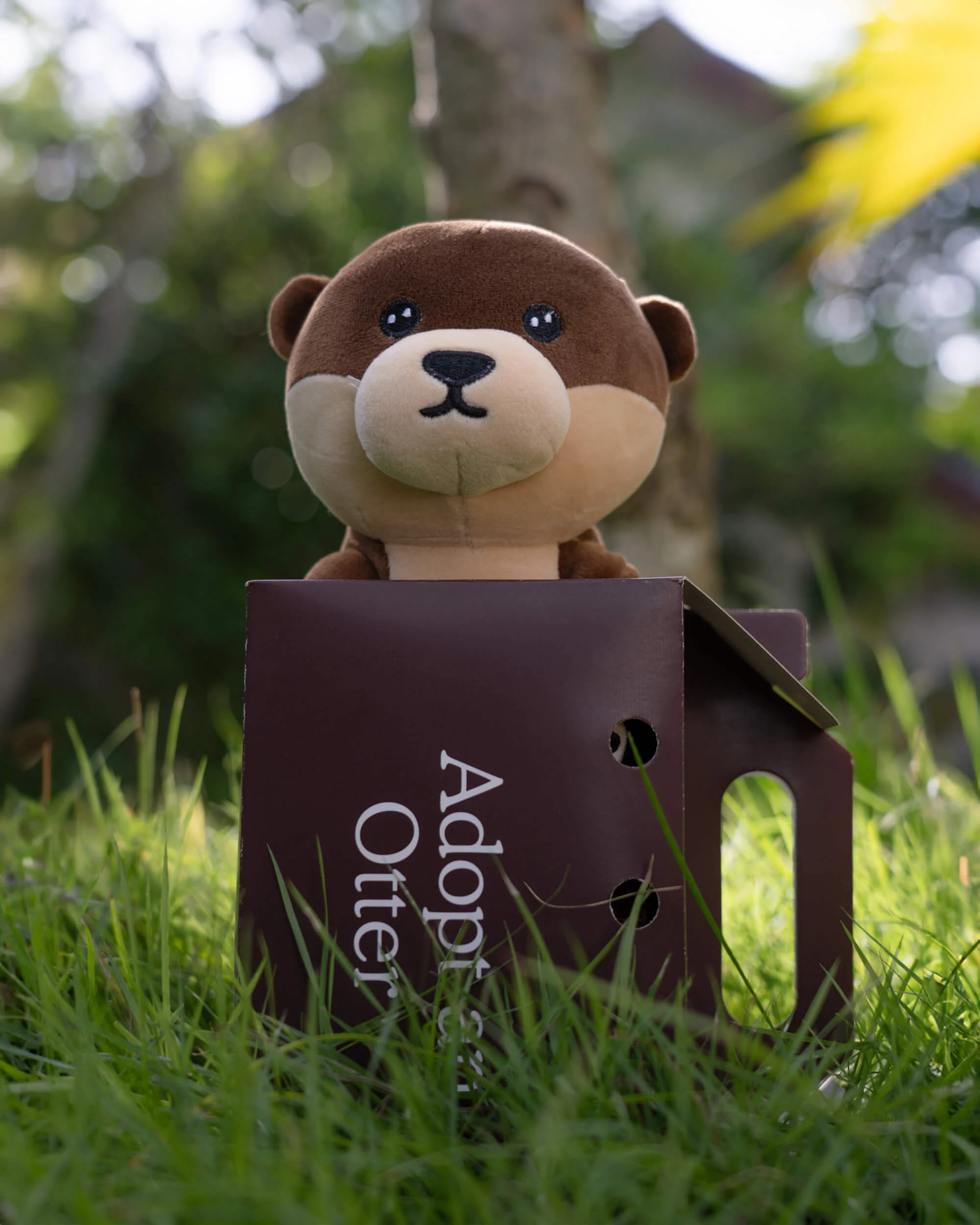 Otter Plushie - Image 6