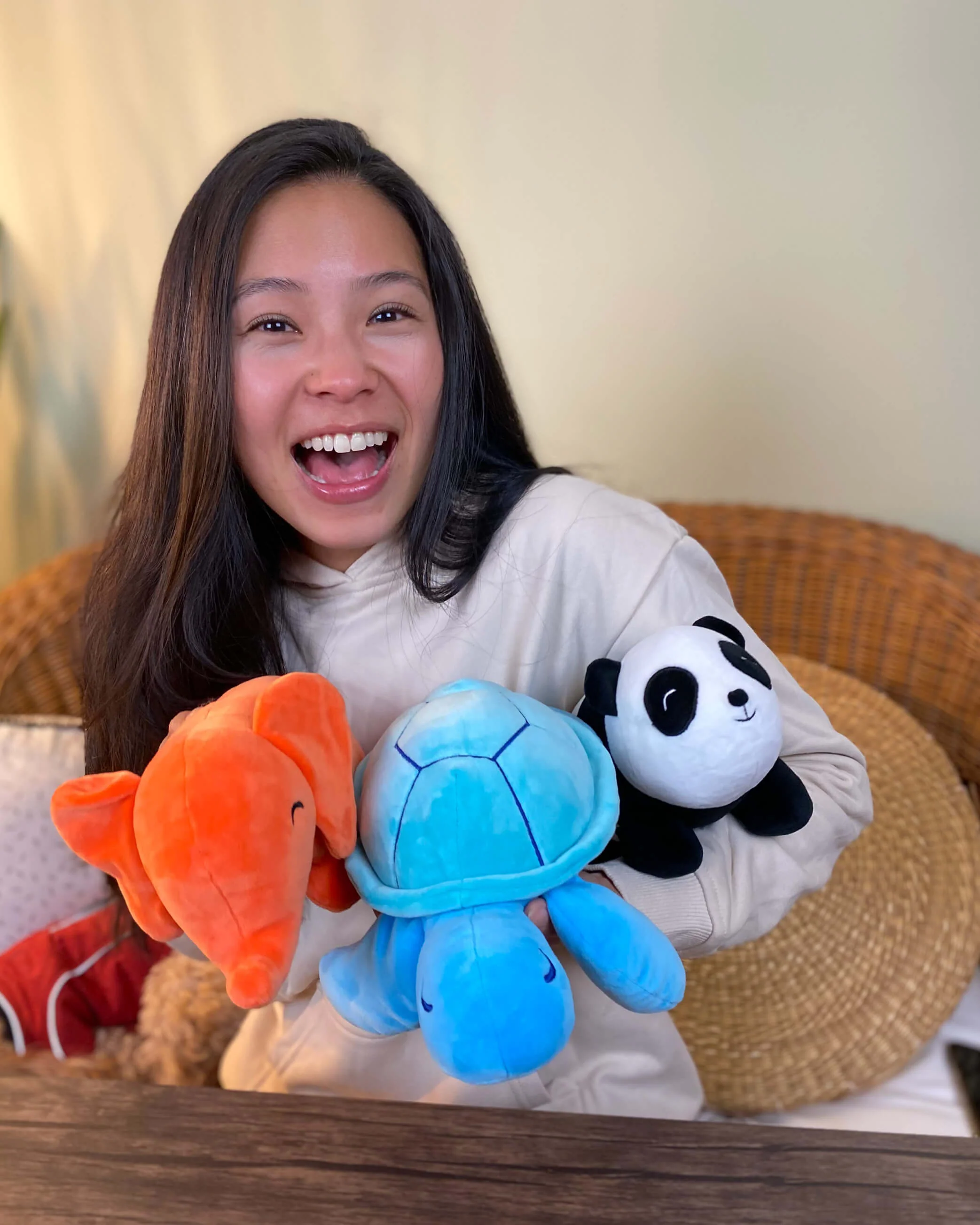 Panda Plushie - Image 4