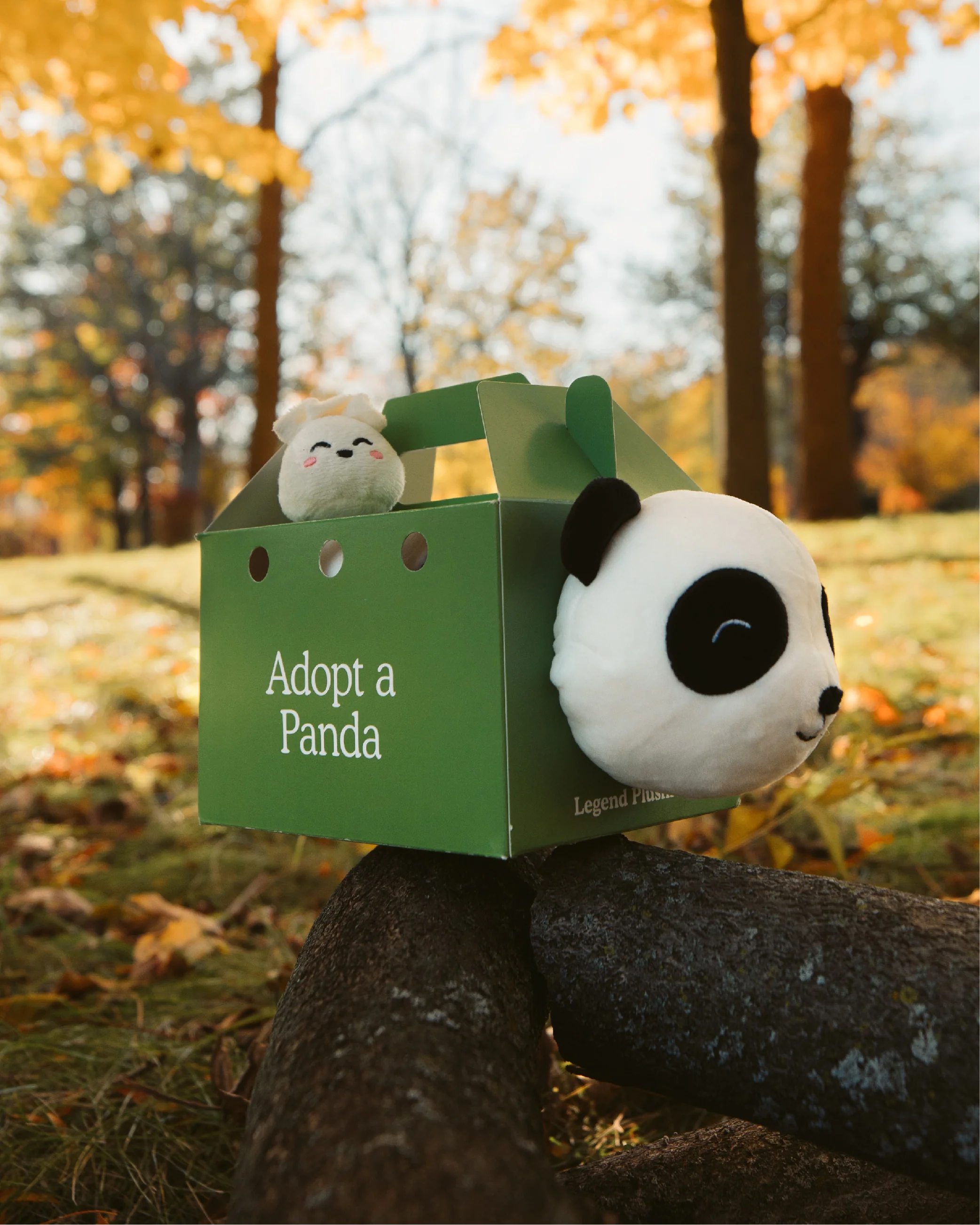 Panda Plushie - Image 5