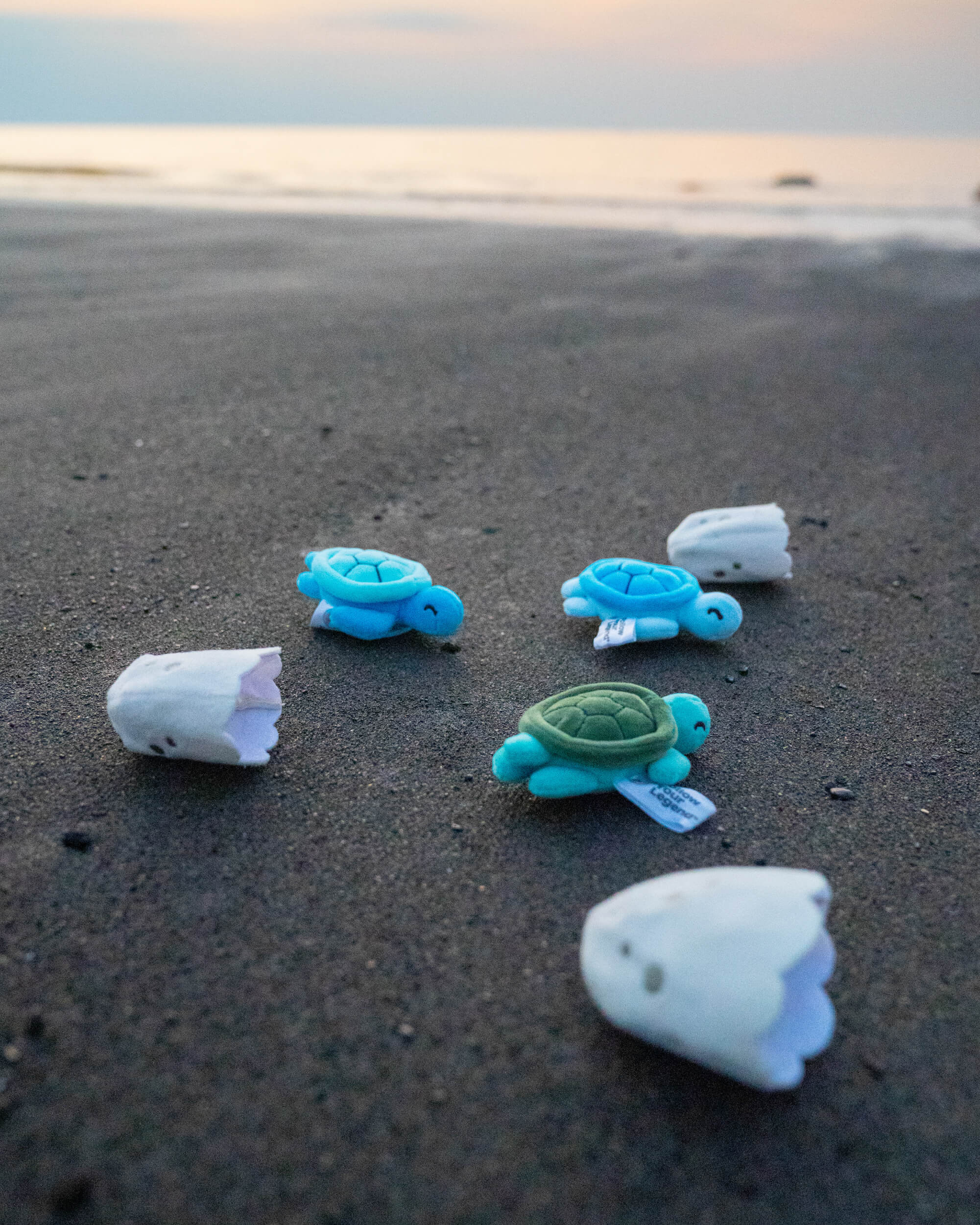 Sea Turtle Hatchling Plushies - Image 6