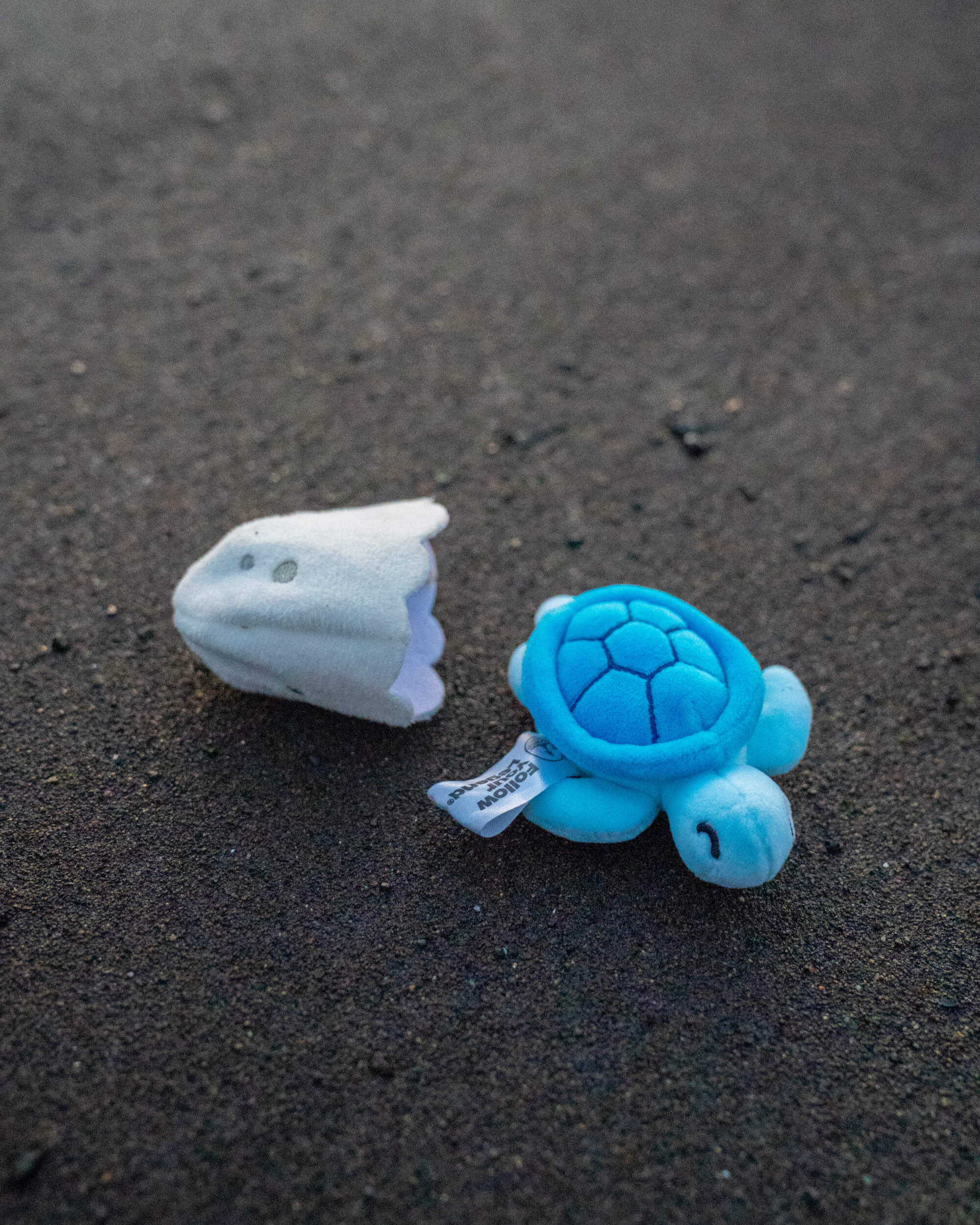 Sea Turtle Hatchling Plushies - Image 7