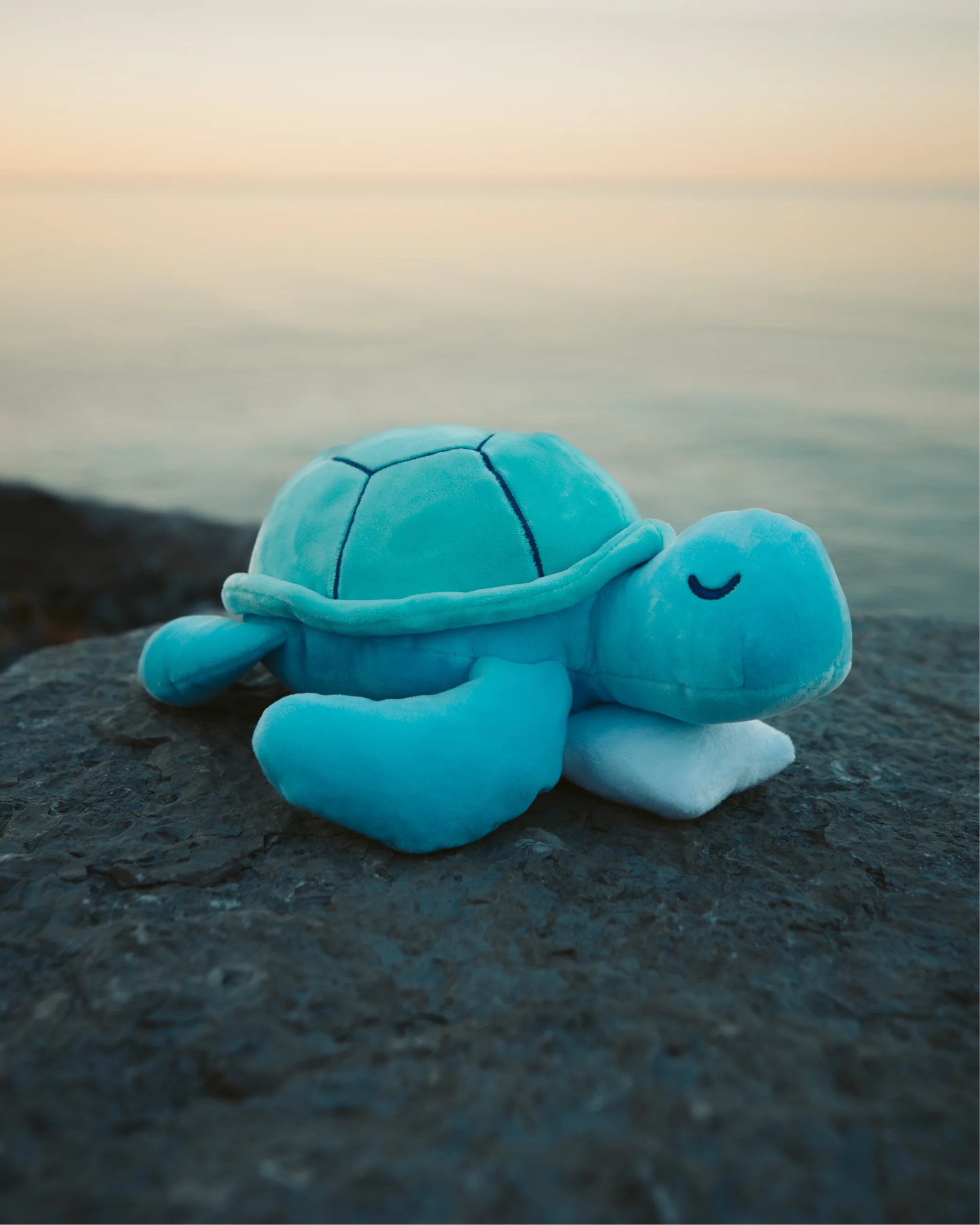 Sea Turtle Plushie - Image 3