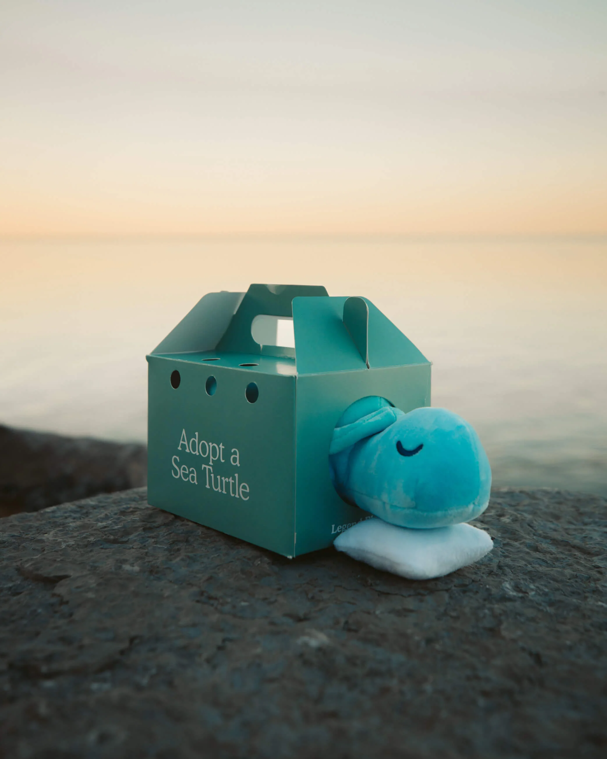 Sea Turtle Plushie - Image 4