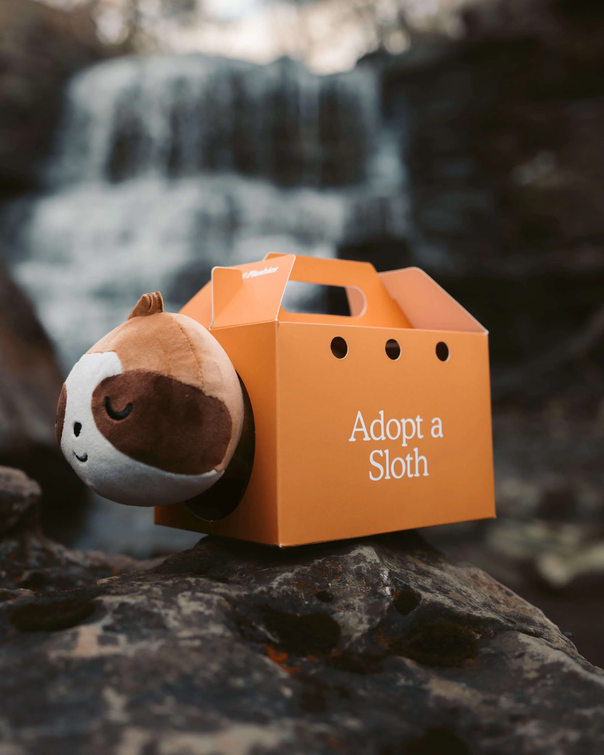 Sloth Plushie - Image 3