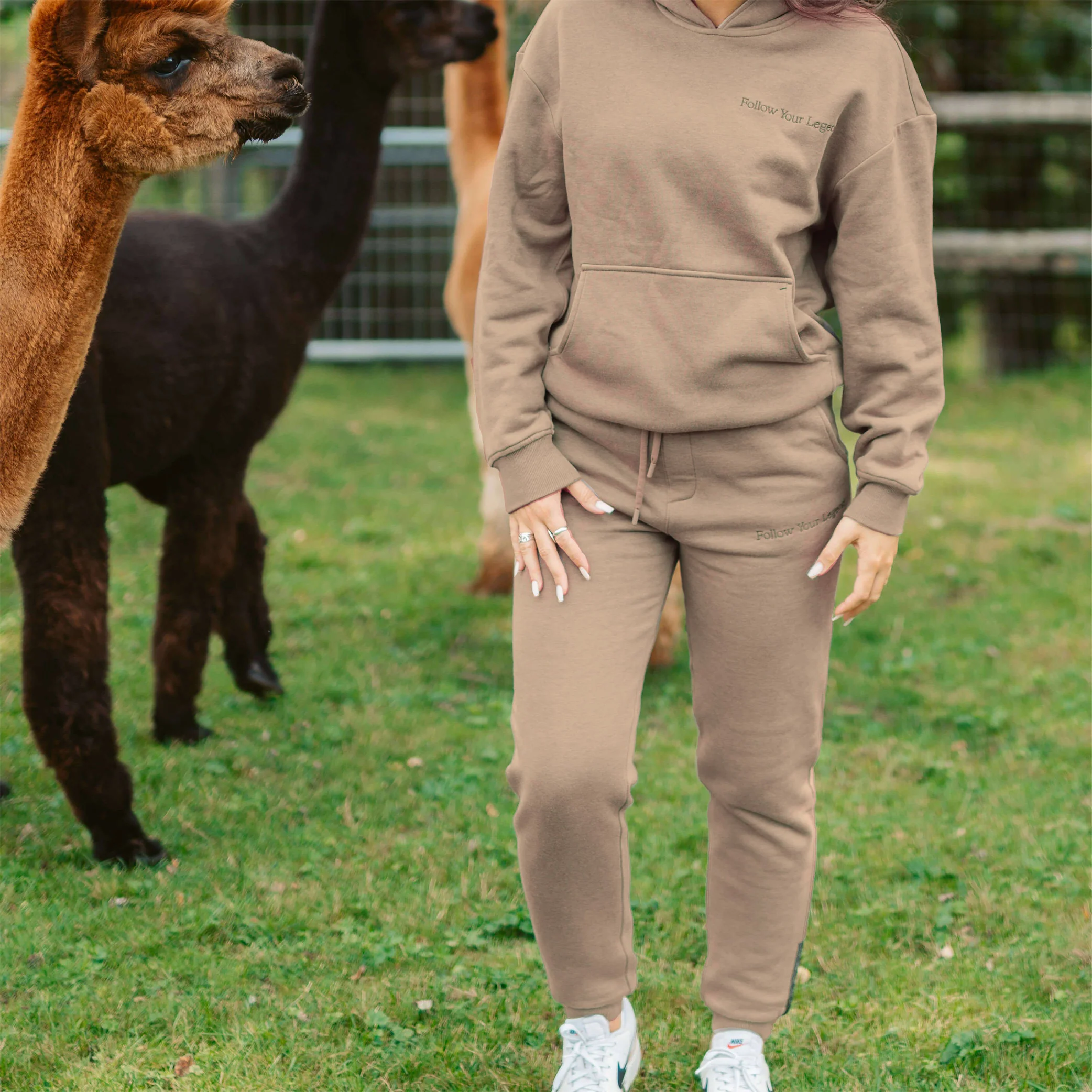 Women's AlpacaCloud® Joggers - Image 13