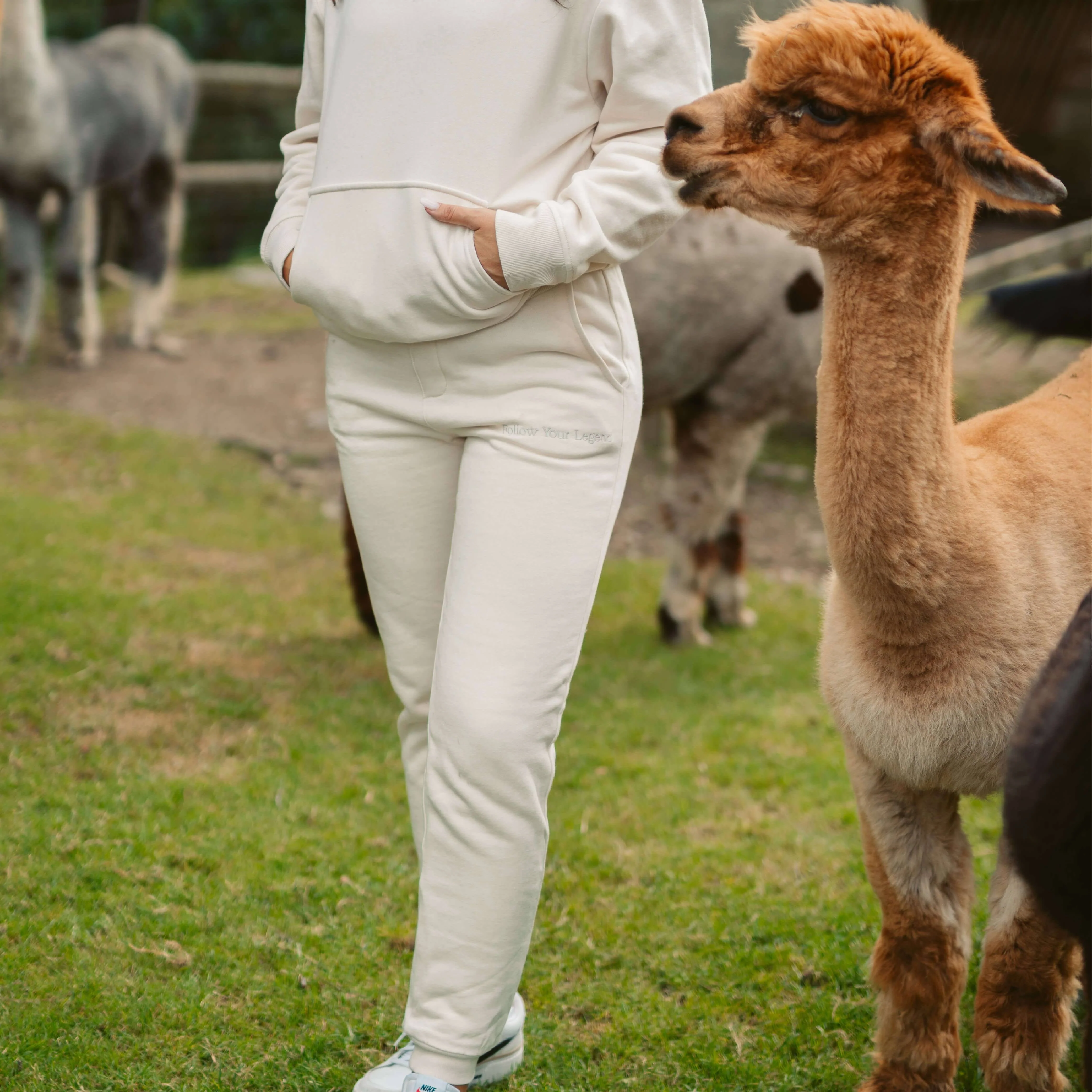 Women's AlpacaCloud® Joggers - Image 24