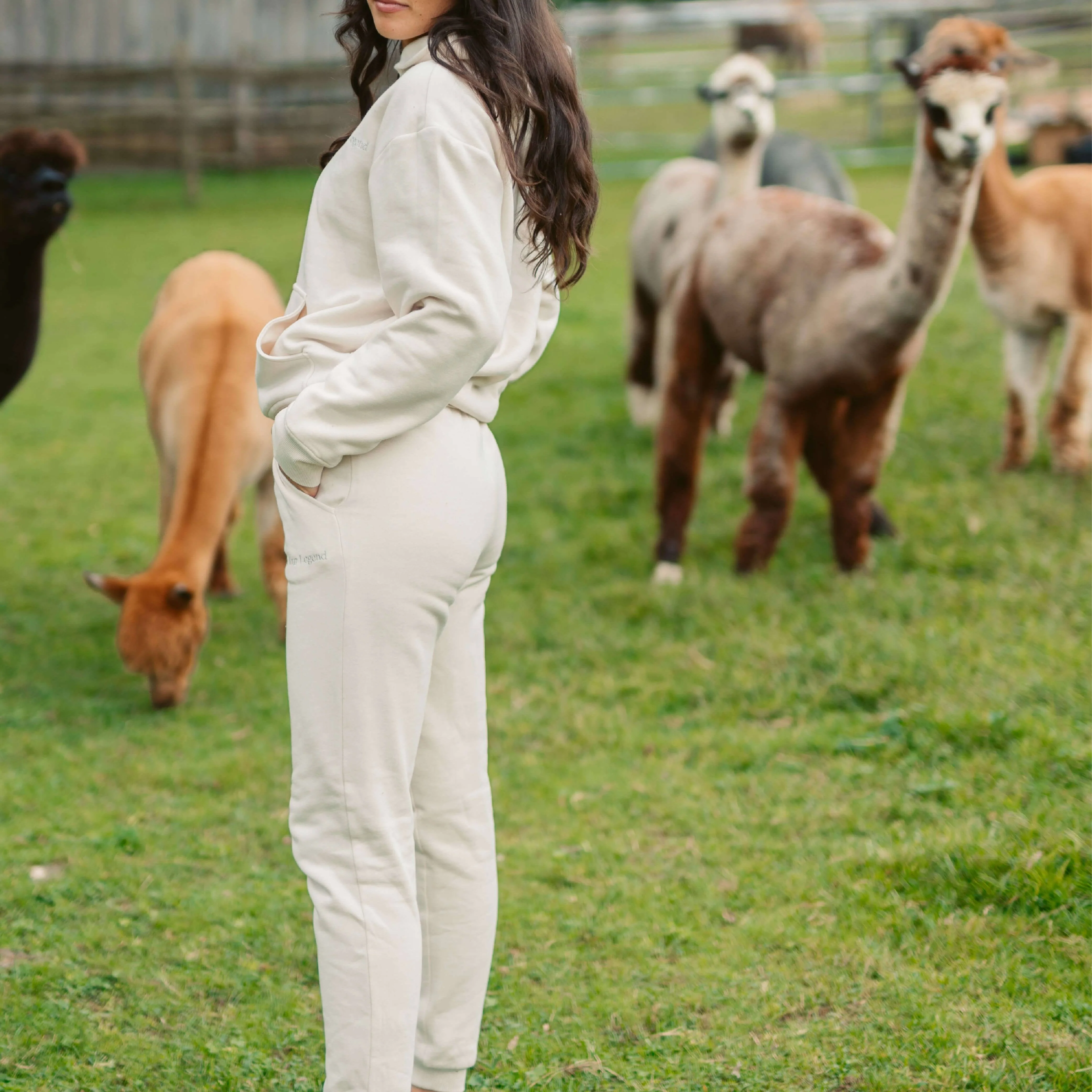 Women's AlpacaCloud® Joggers - Image 25