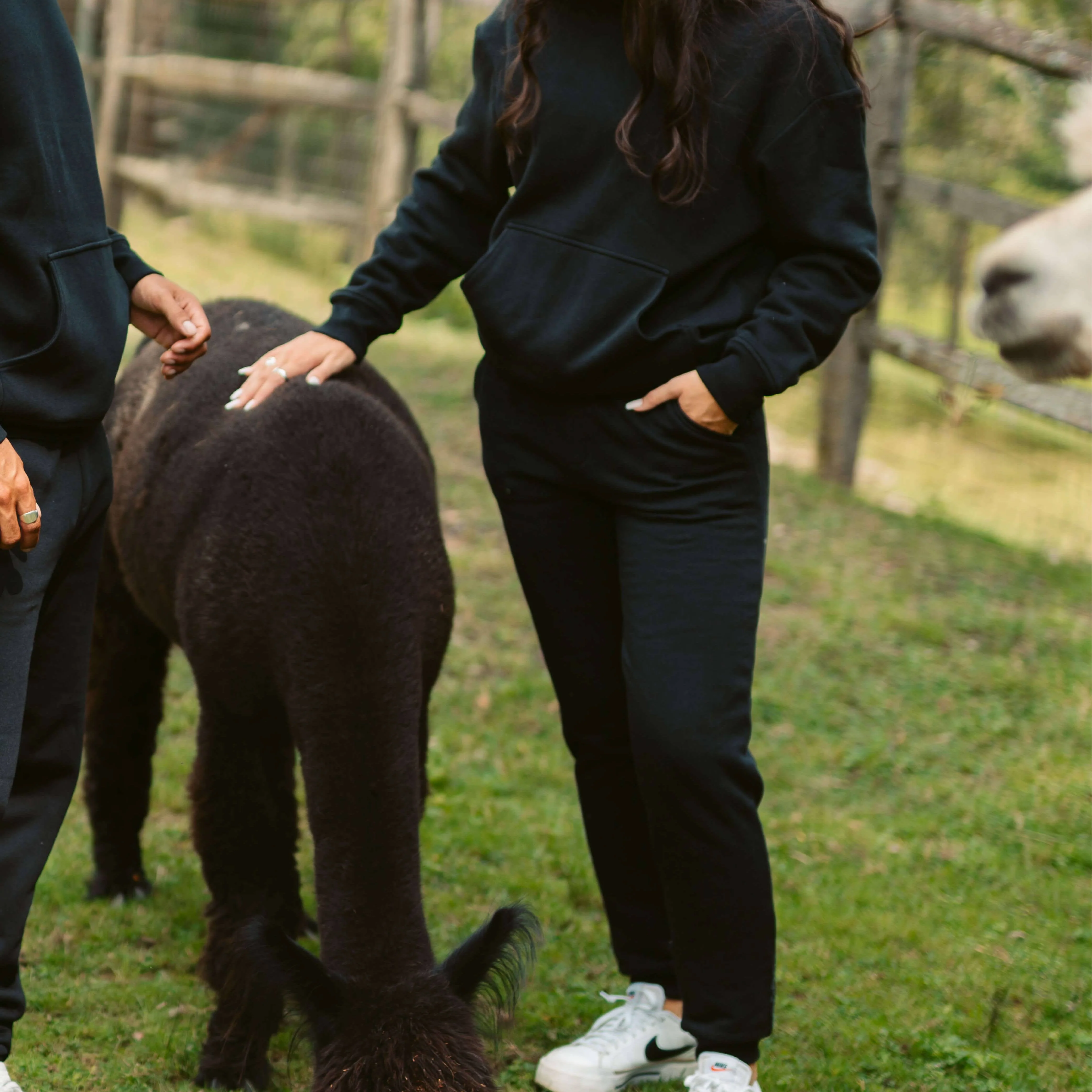 Women's AlpacaCloud® Joggers - Image 4